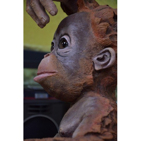 Orangután bebé