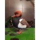 Pato colorado (ejemplo de encargo)